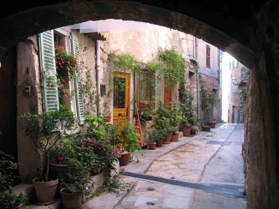 Studio Calme Et Agreable Avec Acces Jardin Partage Le Bar-sur-Loup Exteriér fotografie